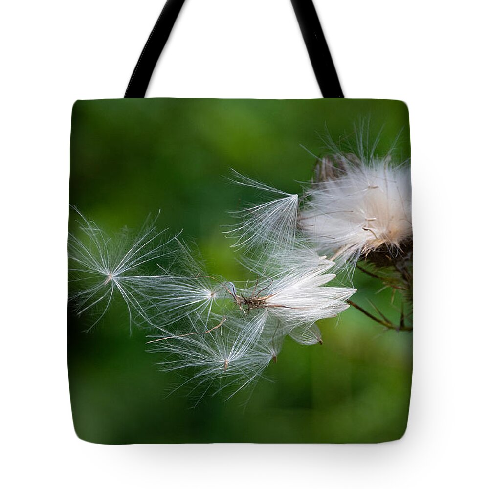 Thistle Tote Bag featuring the photograph Air Travel by Linda Bonaccorsi