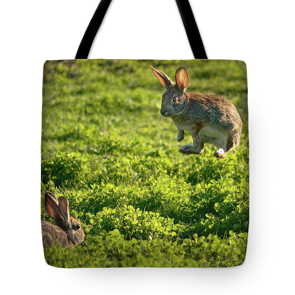 Bunny Tote Bag featuring the photograph Airborne Bunny by Brian Tada