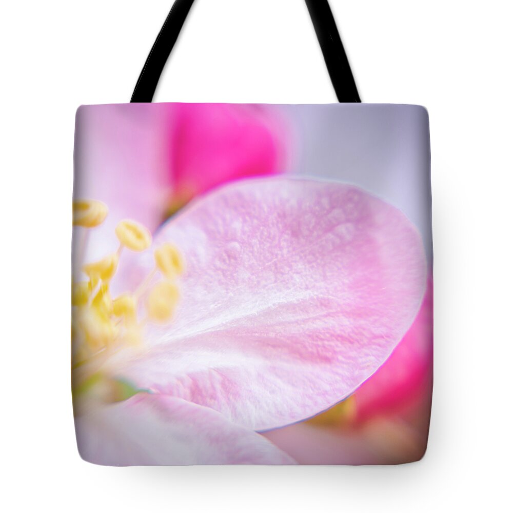 Airy Tote Bag featuring the photograph Airy Apple Blossoms by Christi Kraft
