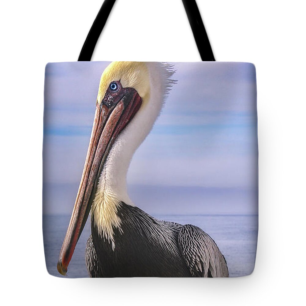 Pelican Tote Bag featuring the photograph Alan the Pretty Pelican 1 by Sally Bauer