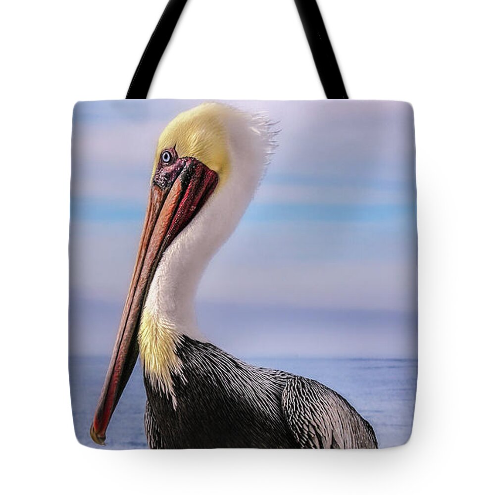 Bird Photography Tote Bag featuring the photograph Alan the Pretty Pelican 2 by Sally Bauer