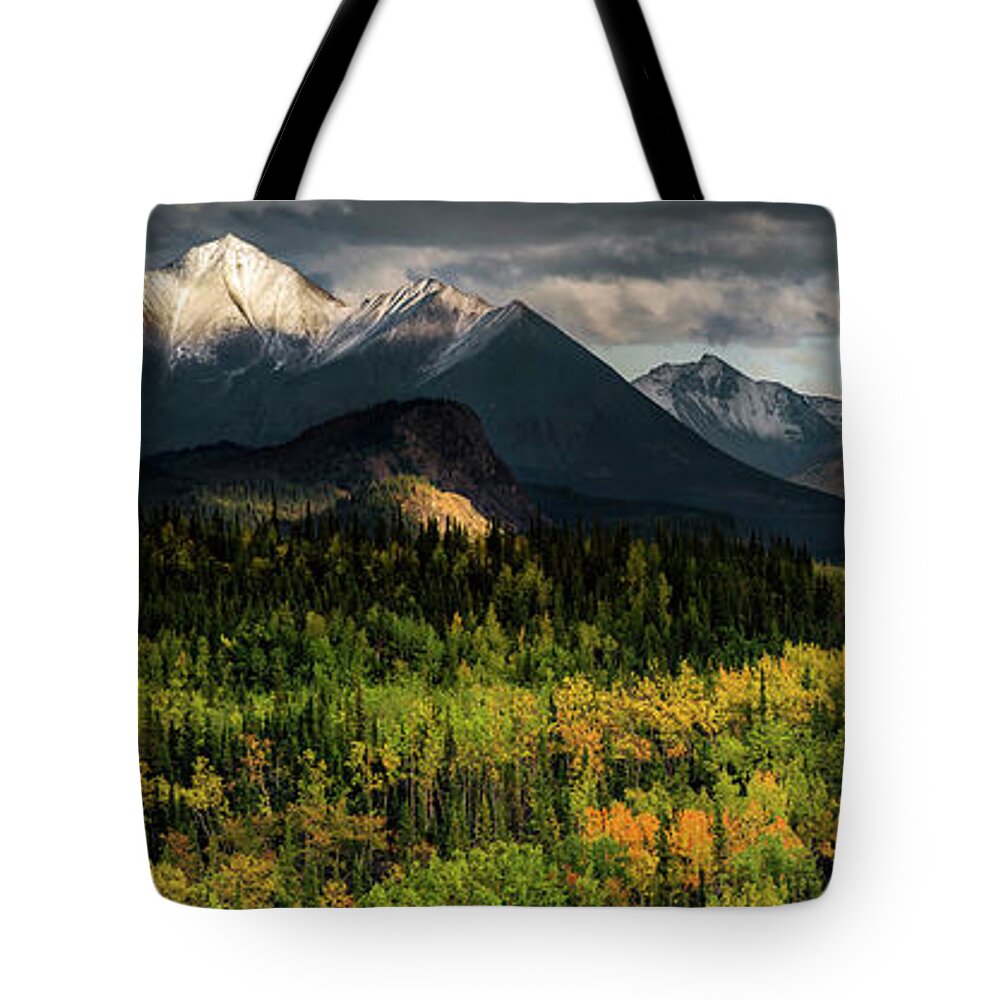 Alaska Tote Bag featuring the photograph Alaska - autumn colors at Denali national park by Olivier Parent