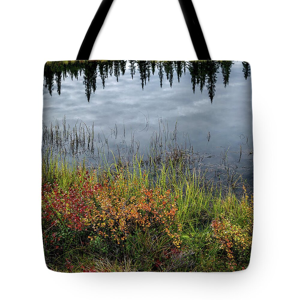 Alaska Tote Bag featuring the photograph Alaska - black pond by Olivier Parent