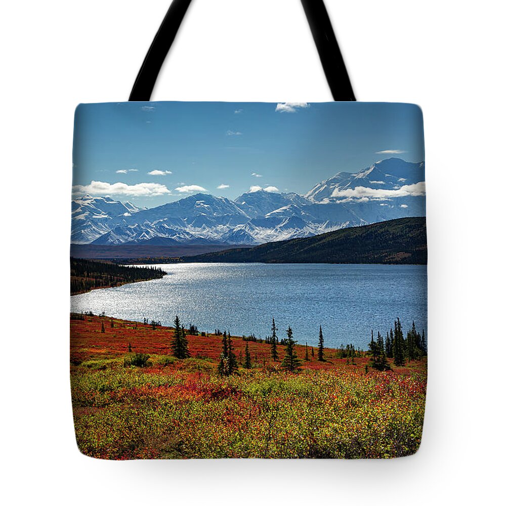 Alaska Tote Bag featuring the photograph Alaska - Wonder lake in Denali national park 2 by Olivier Parent