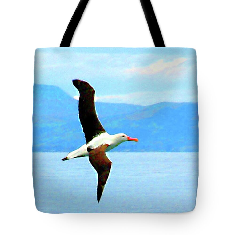 New Zealand Tote Bag featuring the photograph Albatross flying over Otago new Zealand by Sam Hall