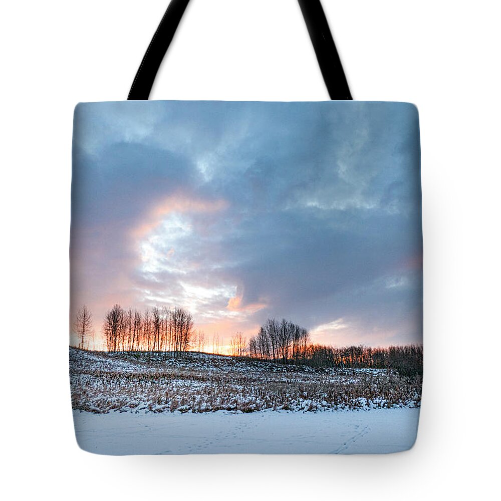 Winter Tote Bag featuring the photograph Alberta winter dawn by Karen Rispin