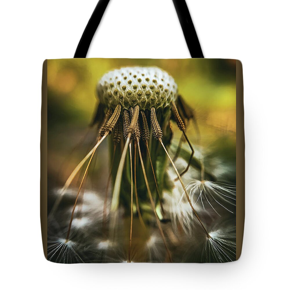 Dandelion Tote Bag featuring the photograph Alien or dandelion by Jim Feldman
