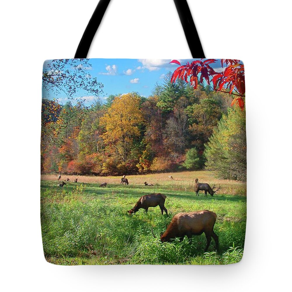 Elk Tote Bag featuring the photograph All Is Well by Allen Nice-Webb