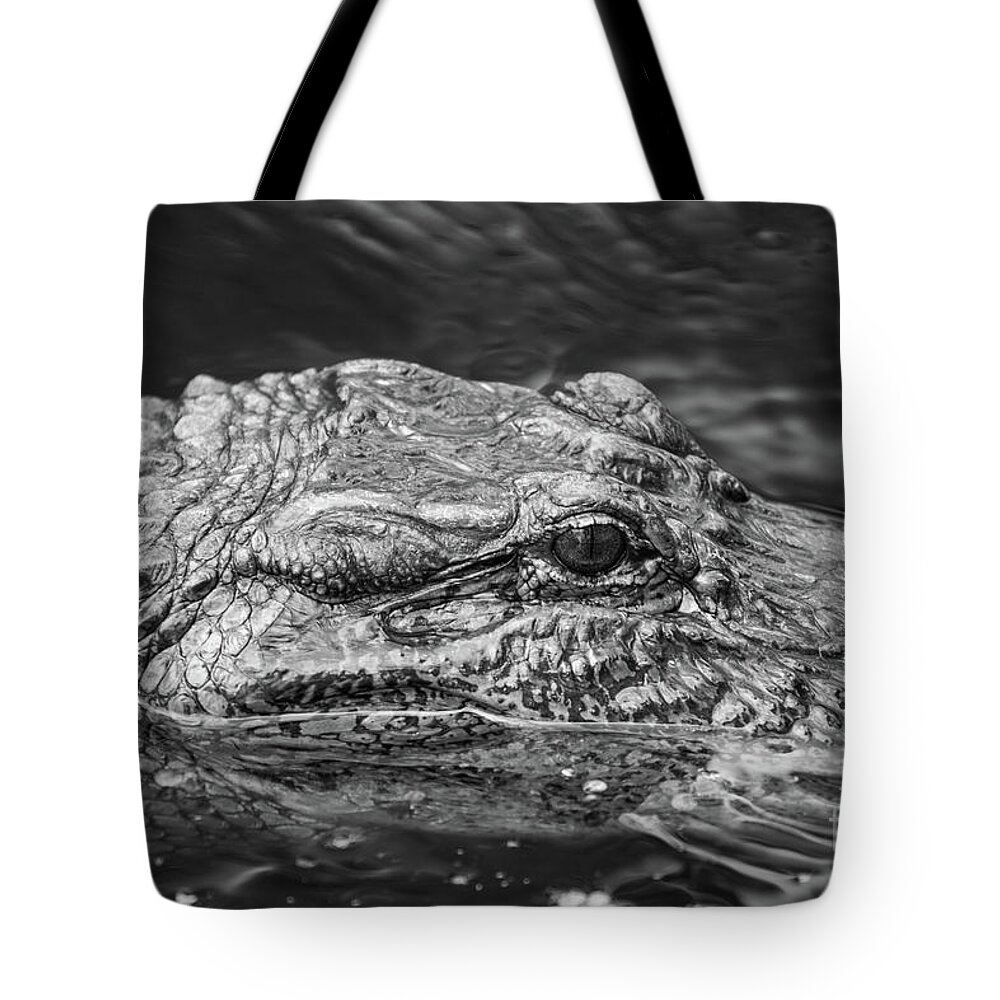 Alligator Tote Bag featuring the photograph Alligator Eye by Kimberly Blom-Roemer