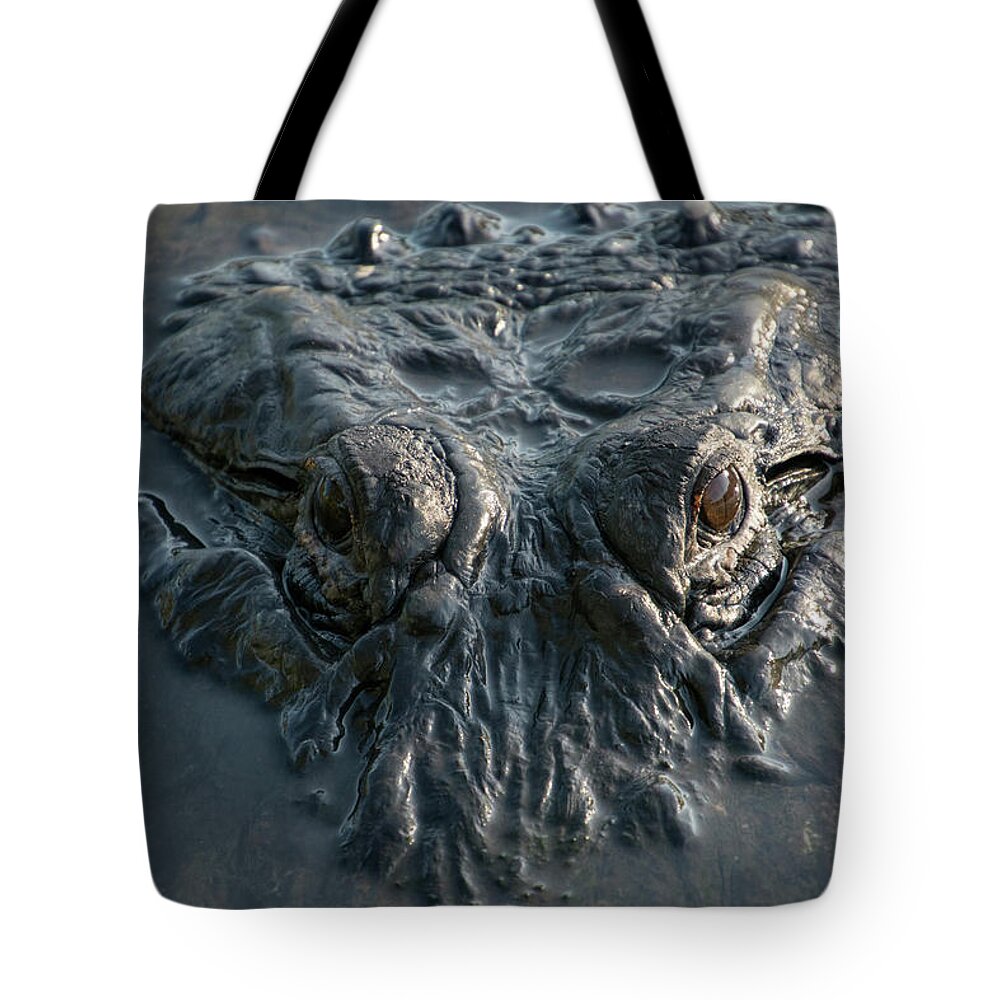 Alligator Tote Bag featuring the photograph Alligator Predator Stare by Carolyn Hutchins