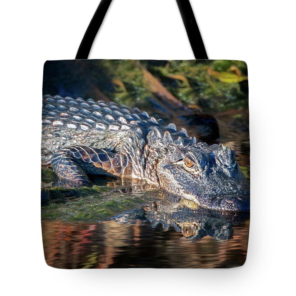 Alligator Tote Bag featuring the photograph Alligator Reflections by Jaki Miller