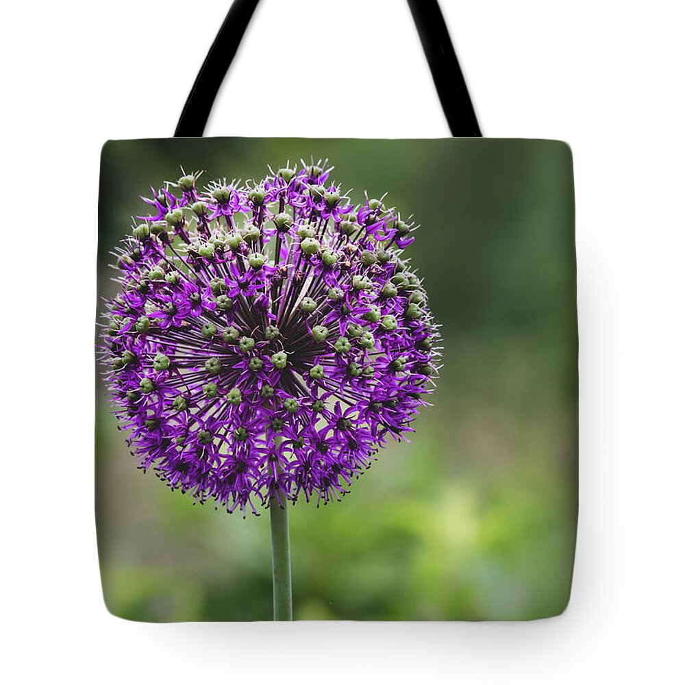 Garden Tote Bag featuring the photograph Allium by Rose Guinther