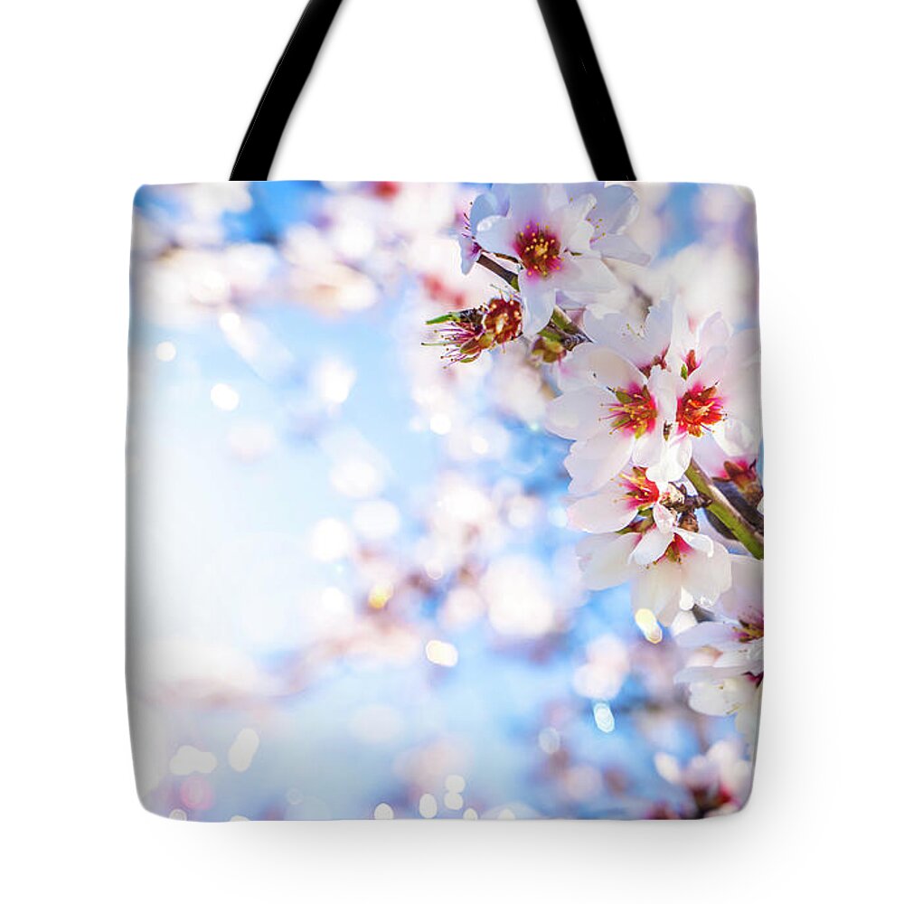 Tu Bishvat Tote Bag featuring the photograph Almond Bloom by Anastasy Yarmolovich