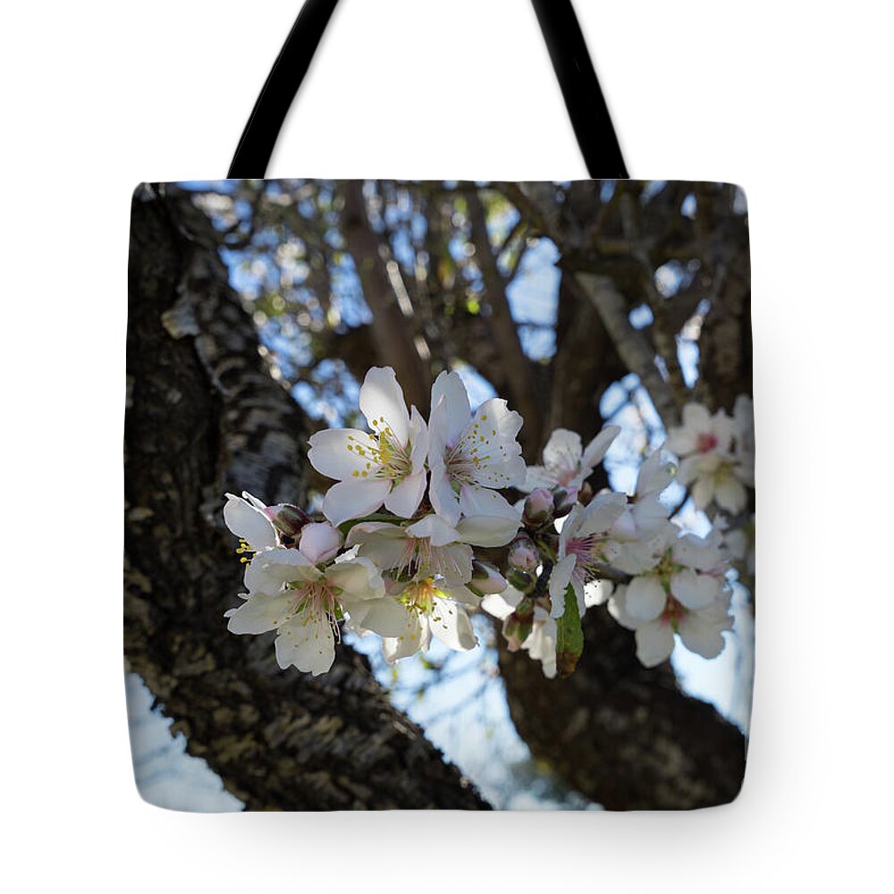 Almond Blossom Tote Bag featuring the photograph White flowers in the penumbra of the almond tree by Adriana Mueller