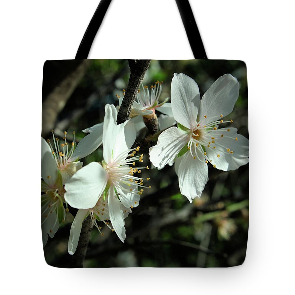 Algarve Tote Bag featuring the photograph Almond Flowers Blossoms of Spring by Angelo DeVal