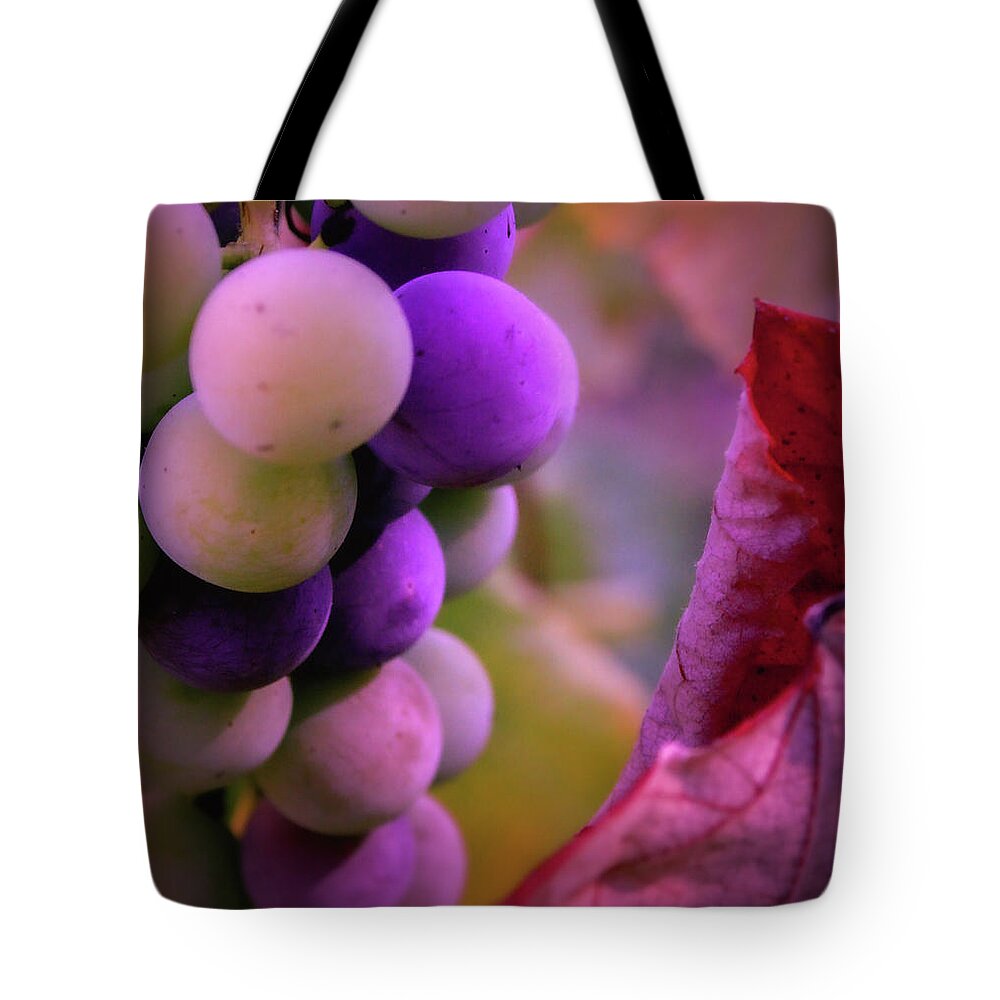 Grapes Tote Bag featuring the photograph Almost Ripe Grapes by Sally Bauer