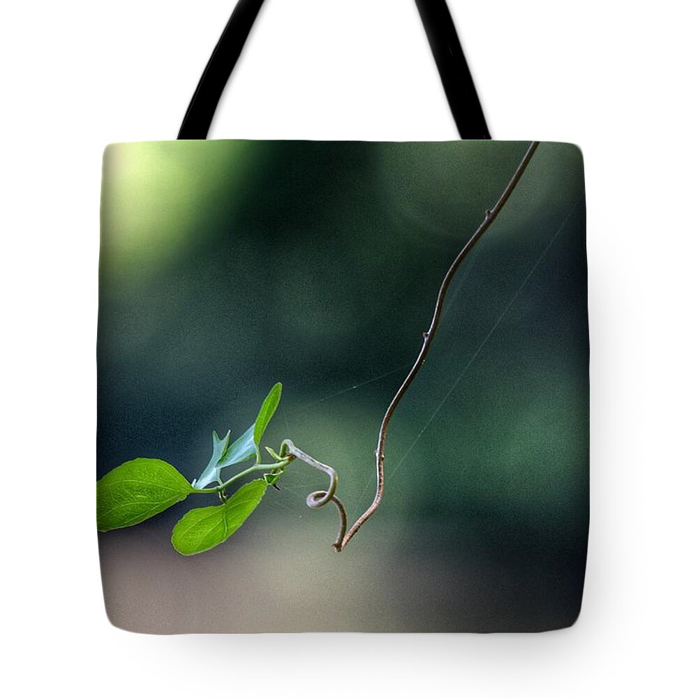 Photo Tote Bag featuring the photograph Alone Above the River by Evan Foster