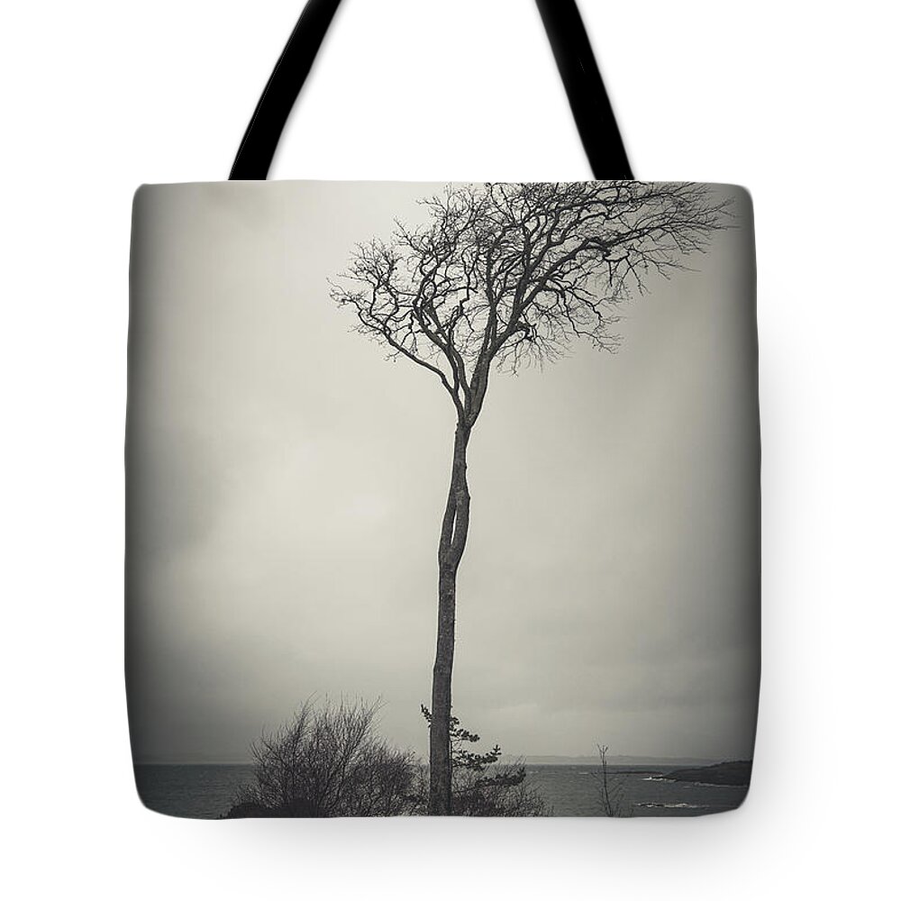Tree Tote Bag featuring the photograph Alone in the Wind by Philippe Sainte-Laudy