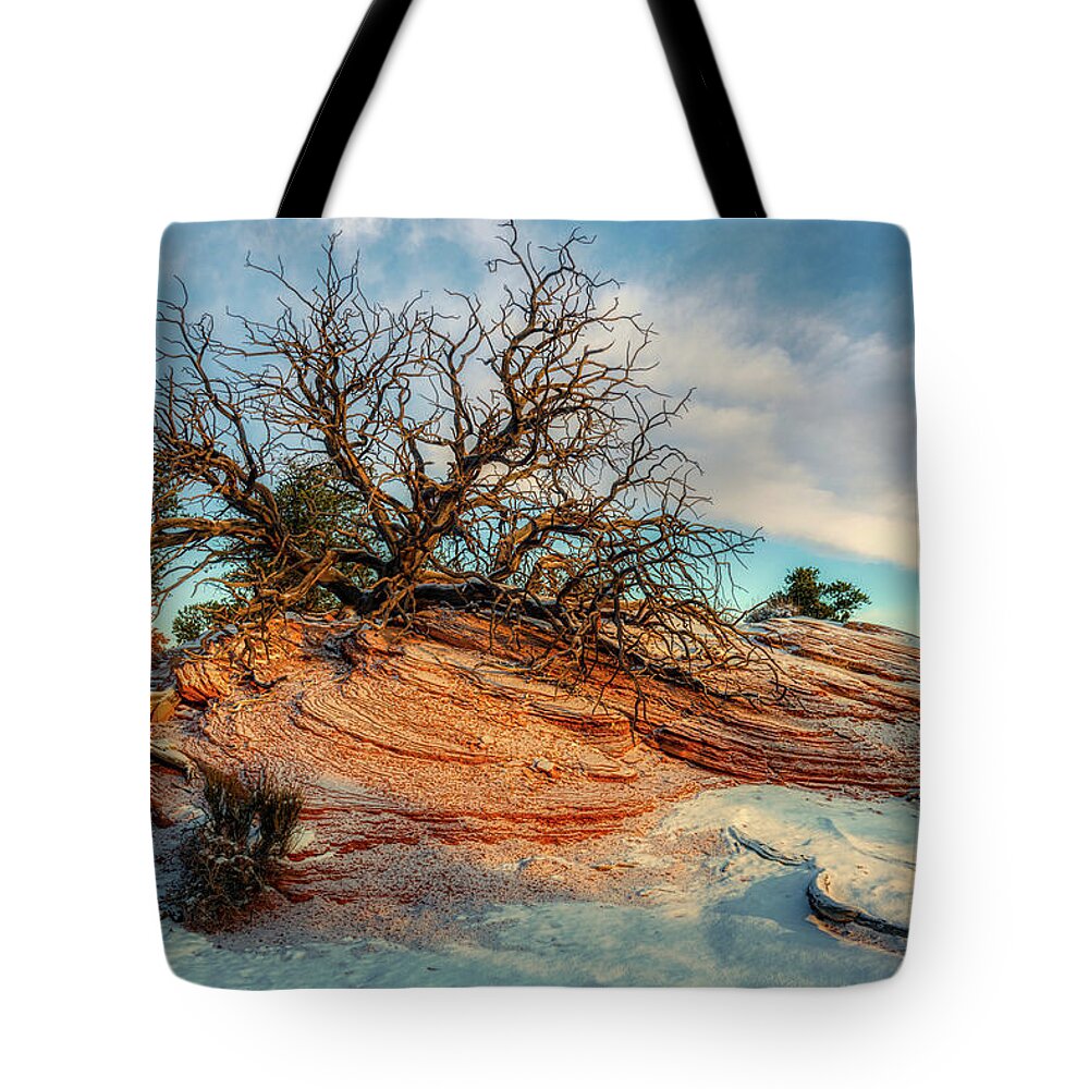 Canyonlands Tote Bag featuring the photograph Along the Mesa Arch Trail by Kenneth Everett