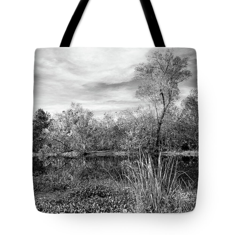 B&w Tote Bag featuring the photograph Along The Shore - Near And Far by Mike Schaffner