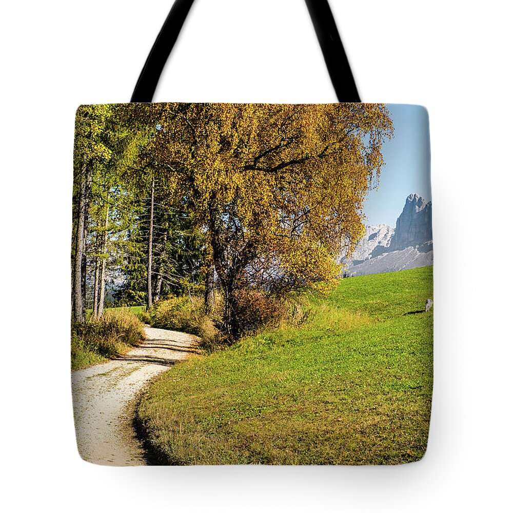 Italy Tote Bag featuring the photograph Alpine road #1 by Alberto Zanoni