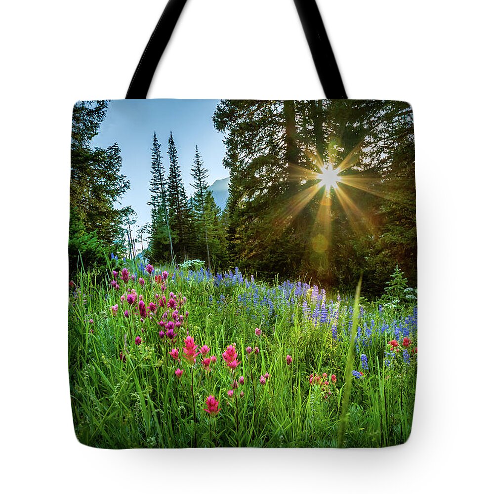 Alta Tote Bag featuring the photograph Alta Sunset and Wildflowers by Bradley Morris