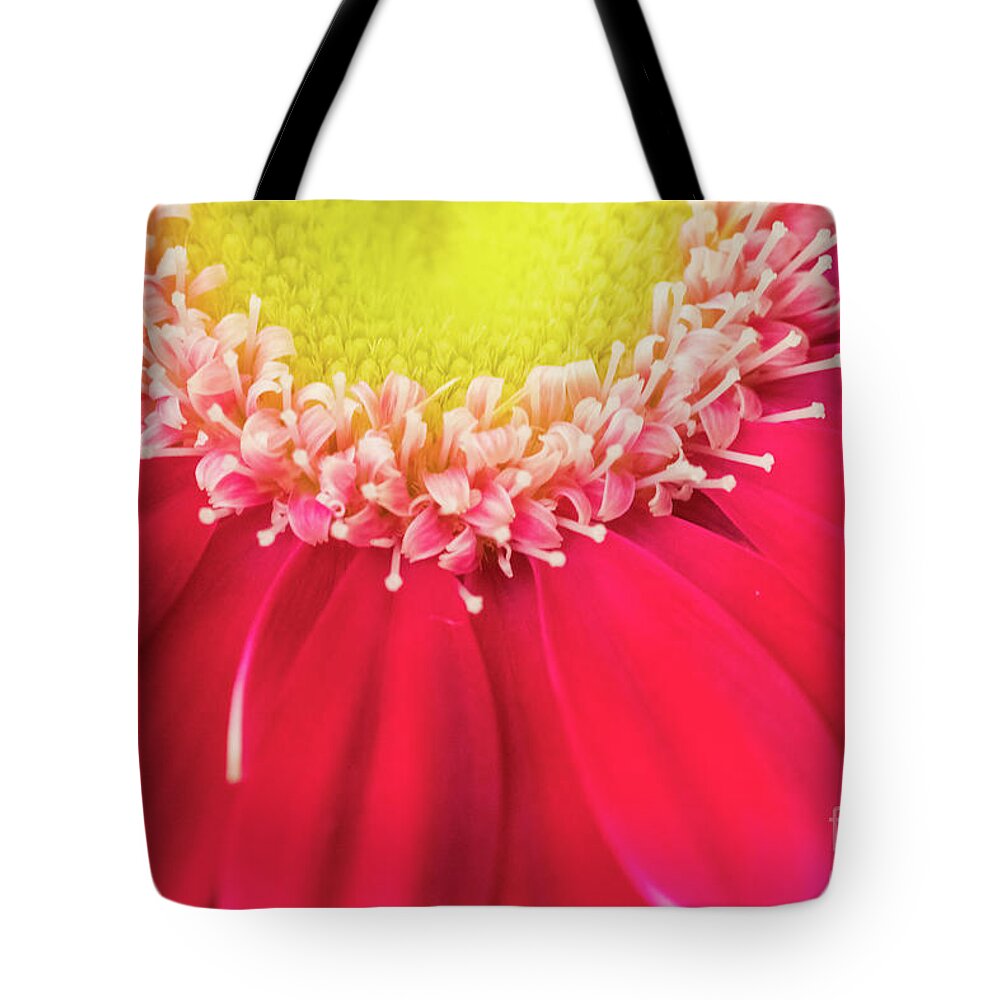 Abstracts Tote Bag featuring the photograph Always Sun Shining by Marilyn Cornwell