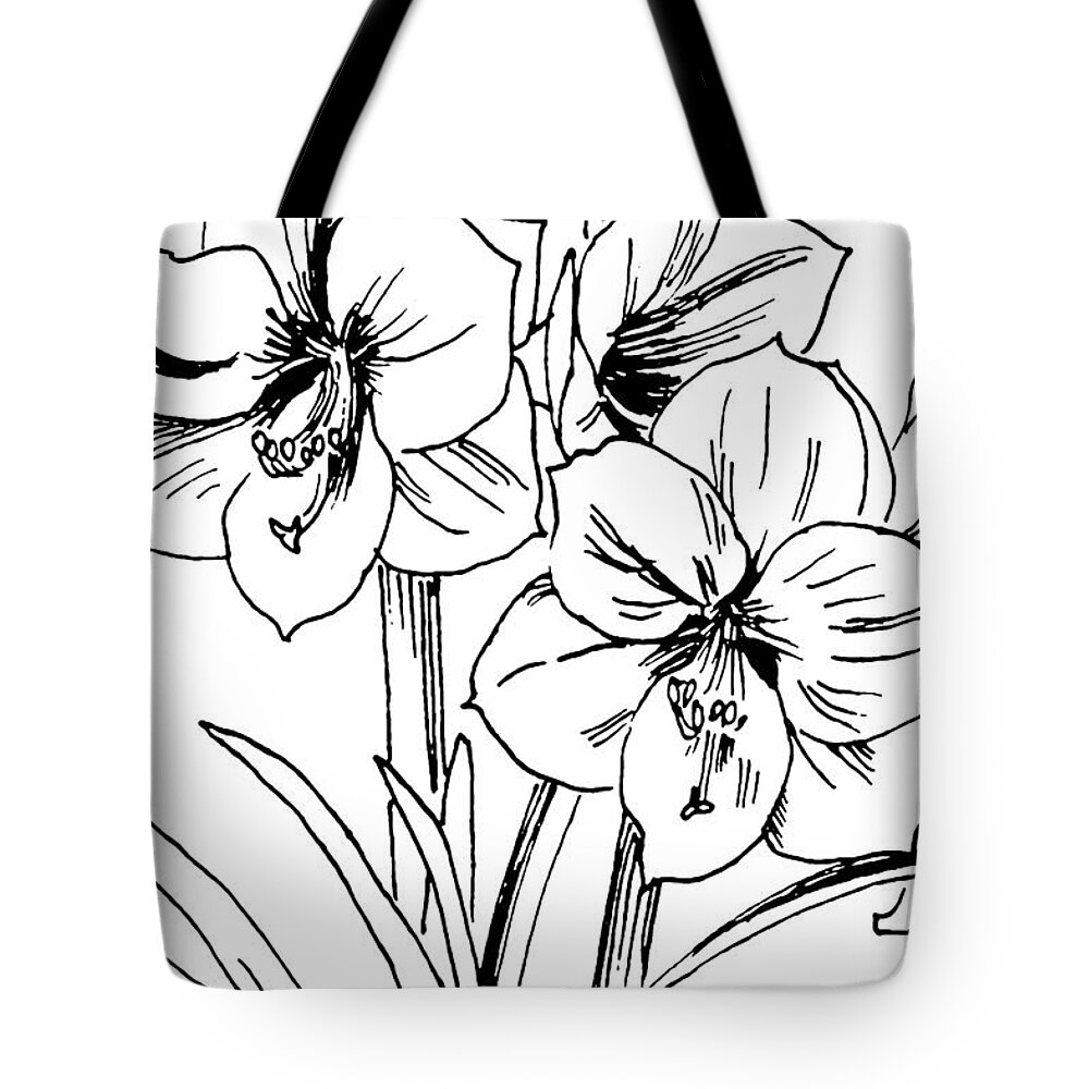 Amaryllis Tote Bag featuring the drawing Amaryllis 4 by Masha Batkova