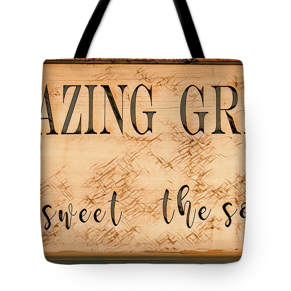 Amazing Grace Tote Bag featuring the photograph Amazing Grace, Earth Tones Version by Marcy Wielfaert