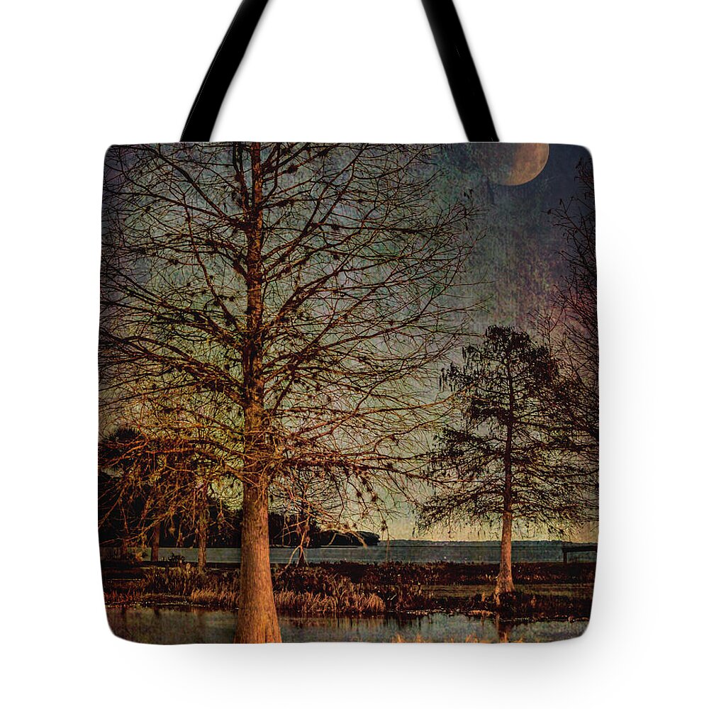 Moon Tote Bag featuring the photograph Ambient Light by Shara Abel