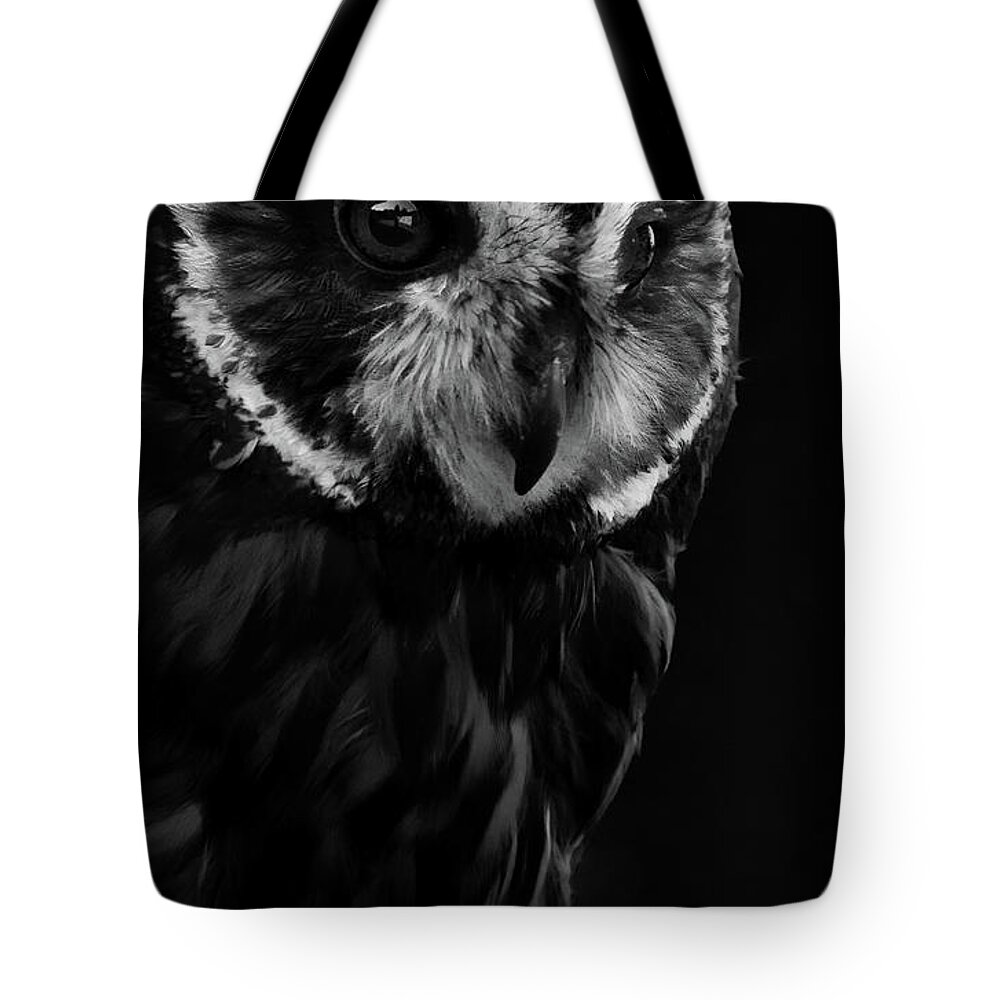 Short Eared Owl- Owl-#forowllovers- Owl Lovers- Raptors-birds Of Prey- Stunning- Black And White Photography- Images Of Rae Ann M. Garrett - #viral- -buffalobillcenterofthewest- Draper Raptor Experience- Peoplewho Love Owls Tote Bag featuring the photograph Amelia by Rae Ann M Garrett