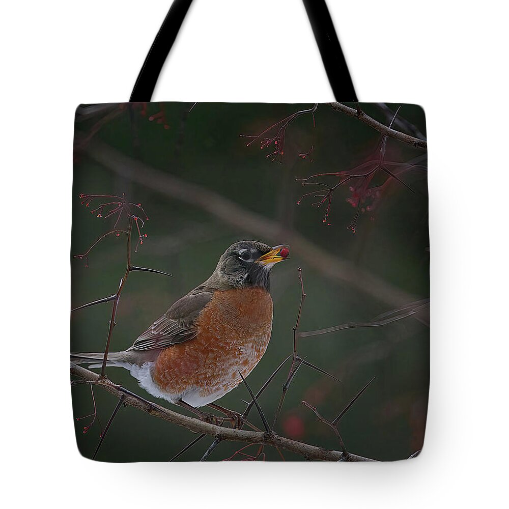 Robin Tote Bag featuring the photograph Amerian Robin with a Berry by Flinn Hackett