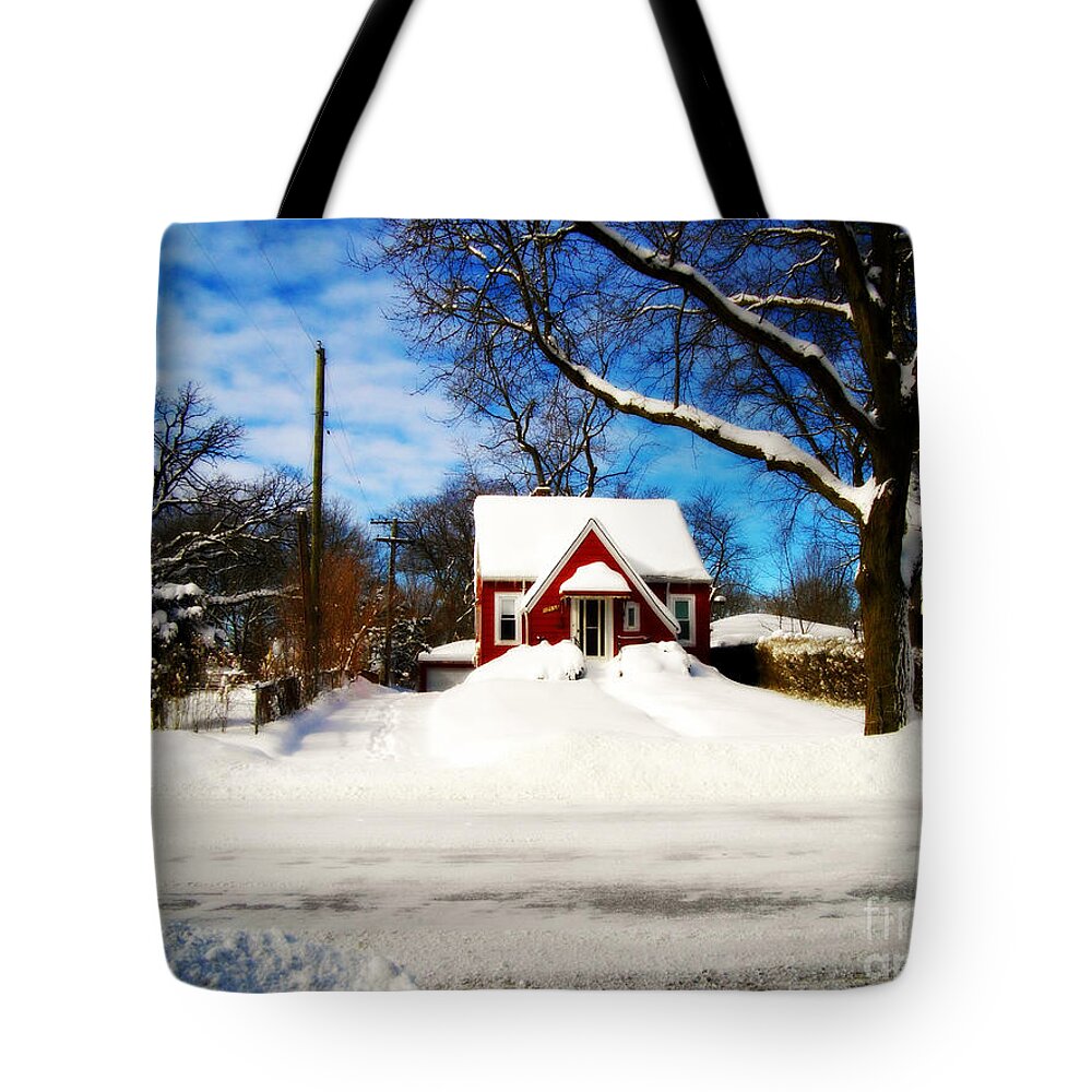 Documentary Tote Bag featuring the photograph America Heartland Winter Beauty by Frank J Casella