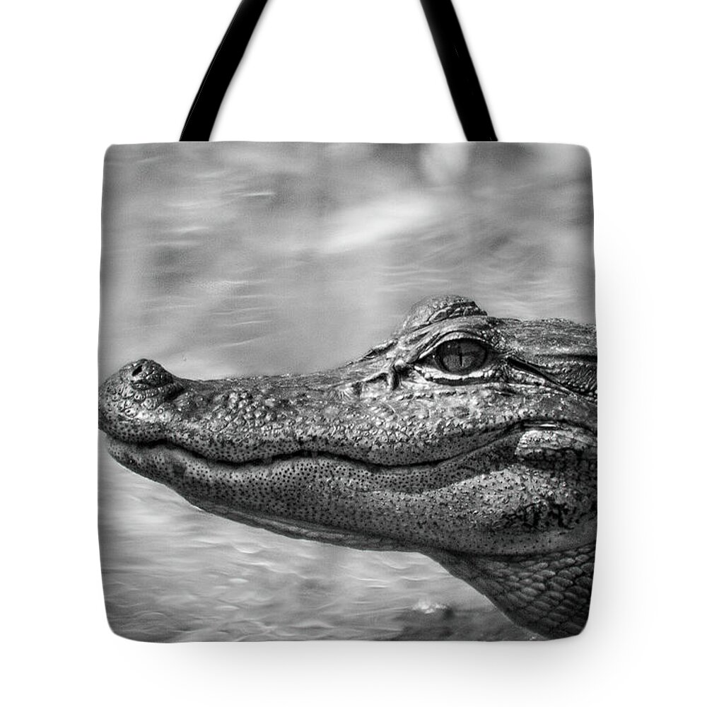 Alligator Tote Bag featuring the photograph American Alligator by the Neuse River in North Carolina by Bob Decker