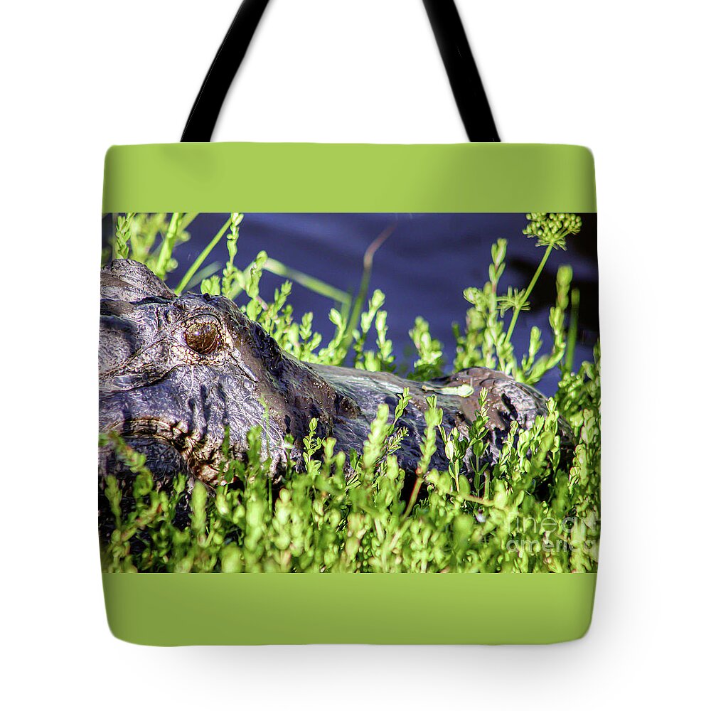 Alligator Tote Bag featuring the photograph American Alligator by Joanne Carey