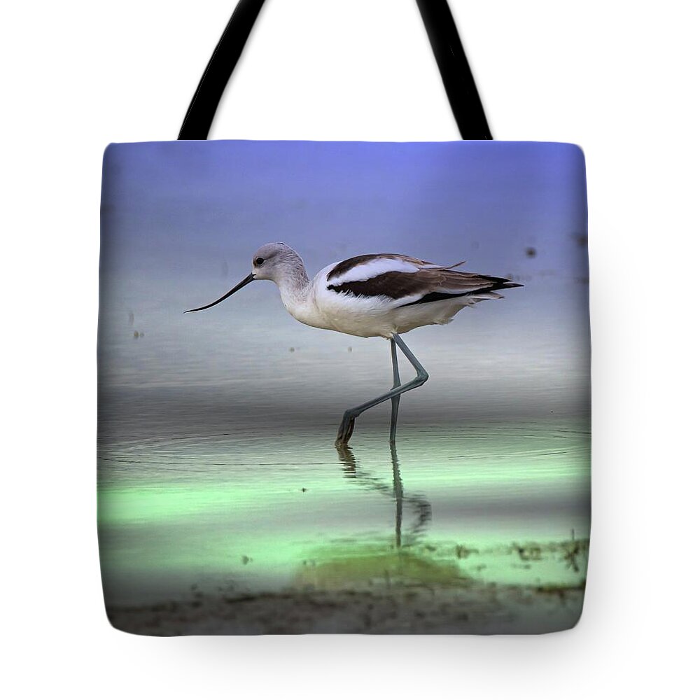 Americanavocet Tote Bag featuring the photograph American Avocet by Pam Rendall
