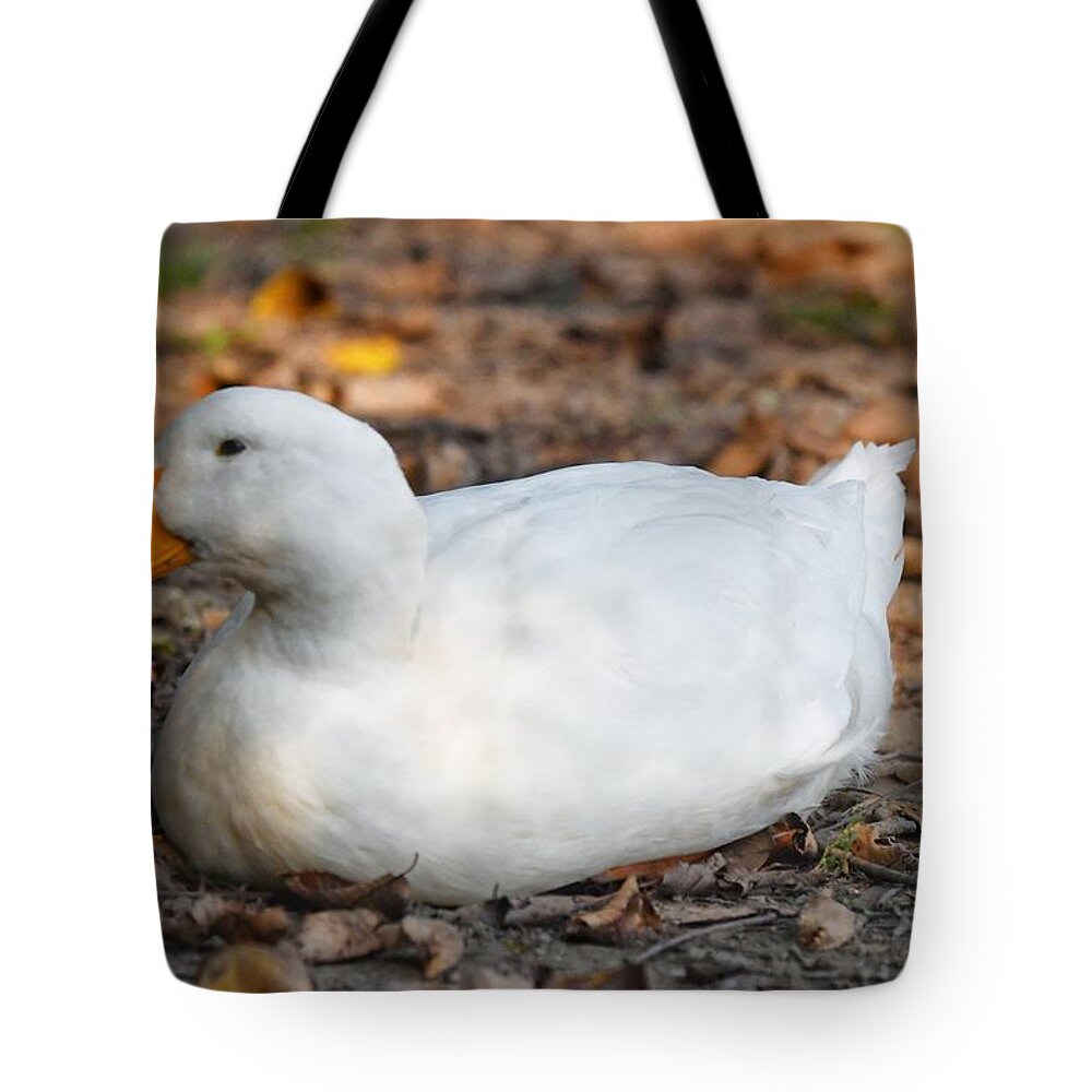 Photo Tote Bag featuring the photograph American Pekin by Evan Foster