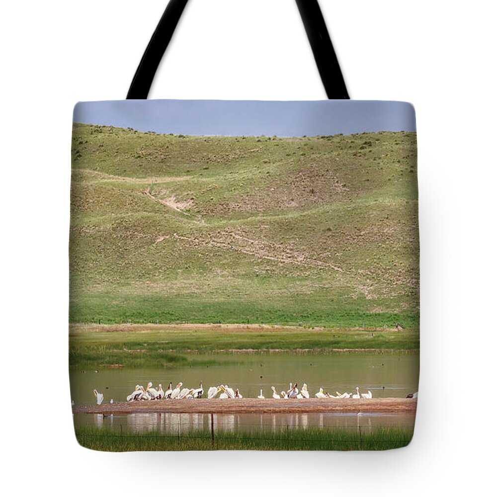 Nebraska Tote Bag featuring the photograph American White Pelican - Sandhills Journey by Susan Rissi Tregoning