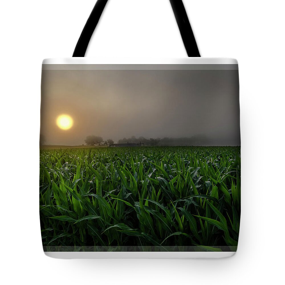 Amish Farm Tote Bag featuring the photograph Amish Farm Sunrise by ARTtography by David Bruce Kawchak