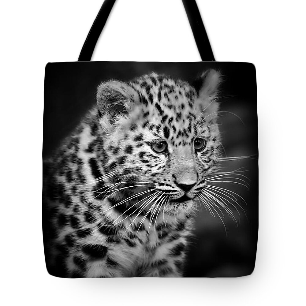 Amur Tote Bag featuring the photograph Amur Leopard Cub - B/W by Chris Boulton