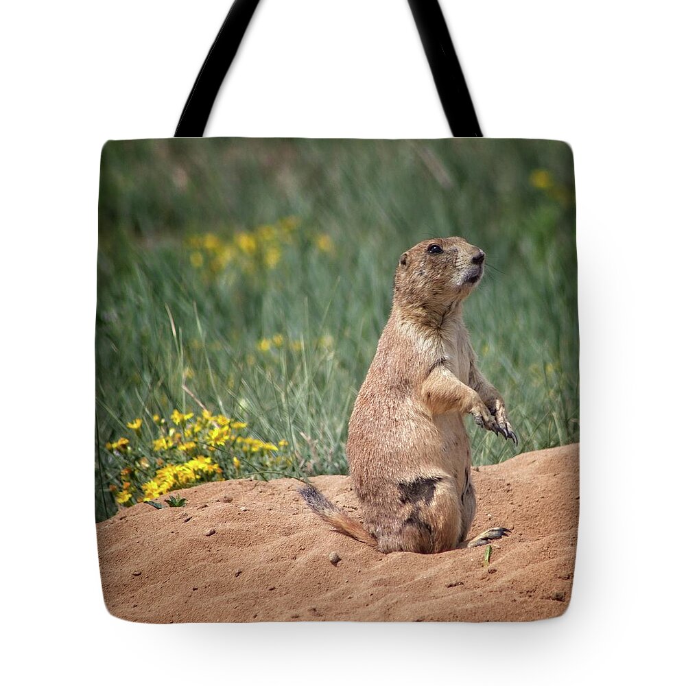 Great Tote Bag featuring the photograph The Lookout by Loren Gilbert