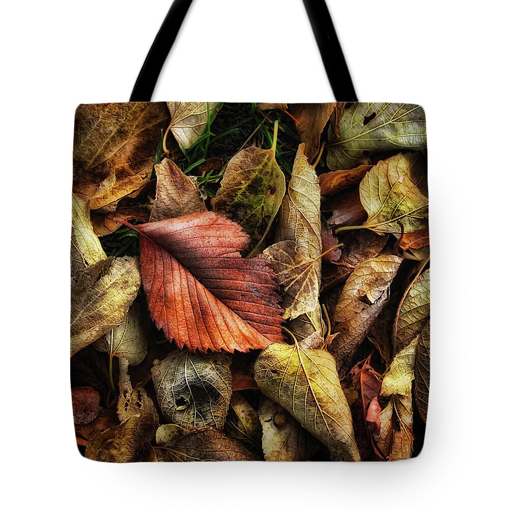 Autumn Tote Bag featuring the photograph An Autumn Dream by Steve Sullivan