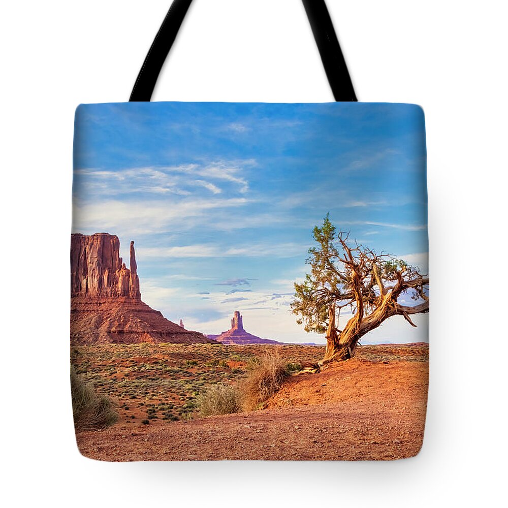 Monument Valley Tote Bag featuring the photograph Ancient Companions by Jurgen Lorenzen
