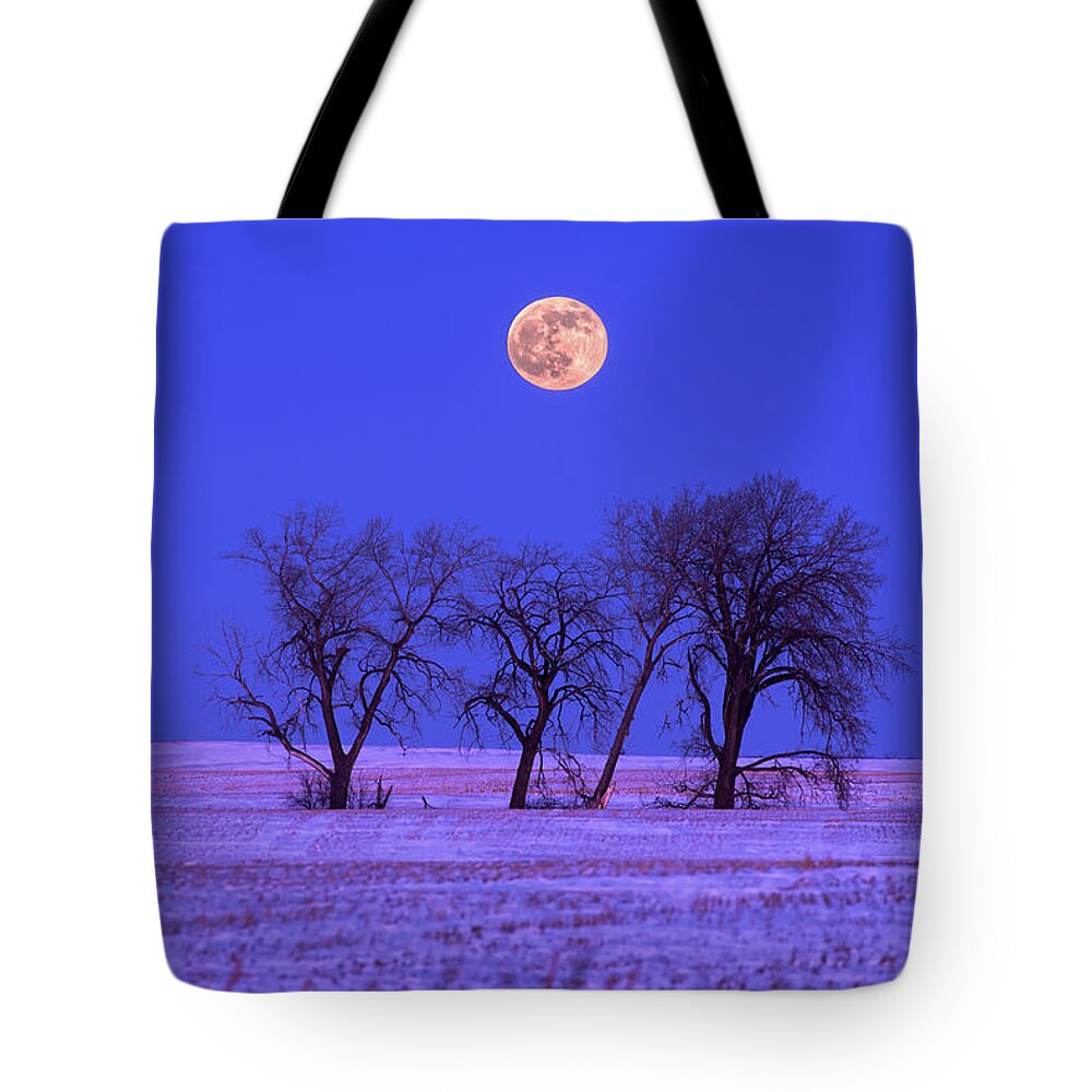 Moon Tote Bag featuring the photograph And all the Trees of the Field shall Clap Their Hands - moonrise above cottonwoods in ND snowscape by Peter Herman
