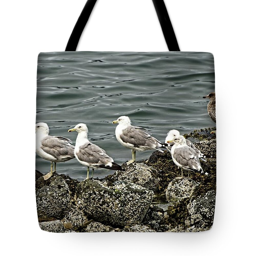 Coast Tote Bag featuring the photograph And The Crowd Cheers by DADPhotography