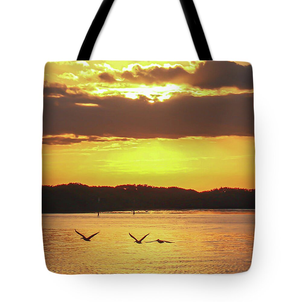 Sunrise Tote Bag featuring the photograph And the pelicans arise at sunrise by Joanne Carey