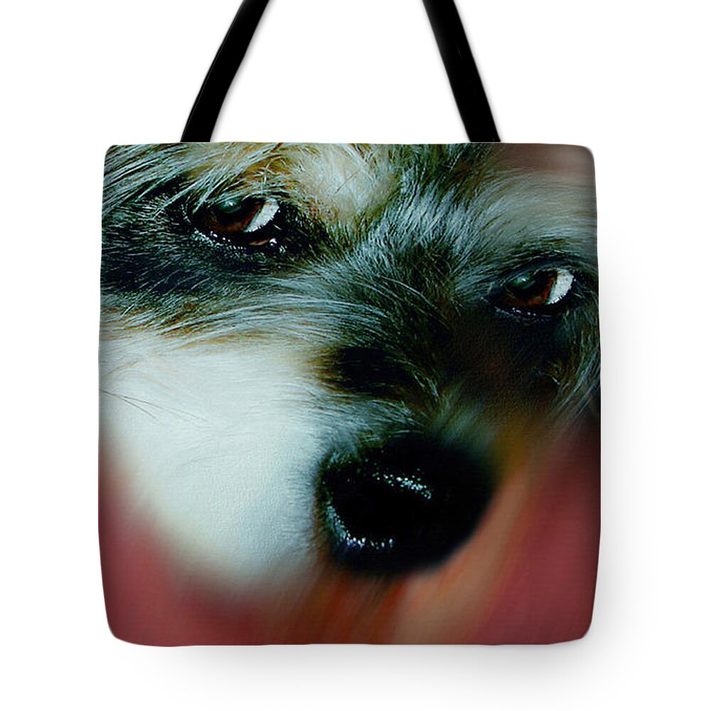 Art Tote Bag featuring the digital art 	And this is Sparky 32 by Miss Pet Sitter