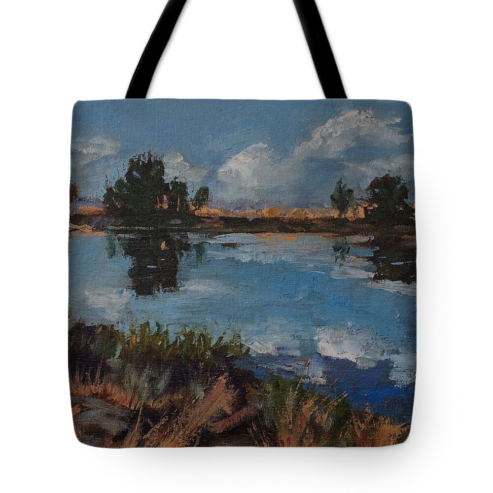 Wyoming River Tote Bag featuring the painting Andante by Mary Benke