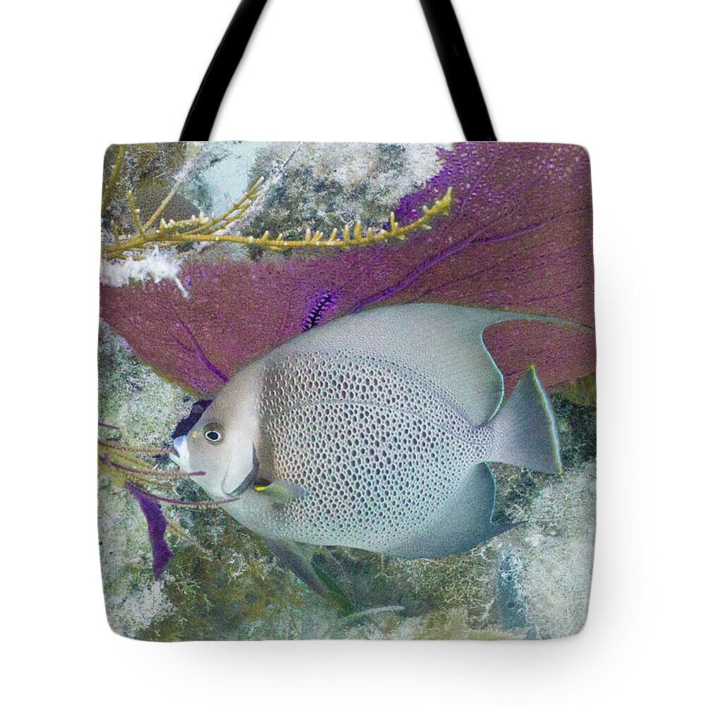 Animals Tote Bag featuring the photograph Angelic by Lynne Browne