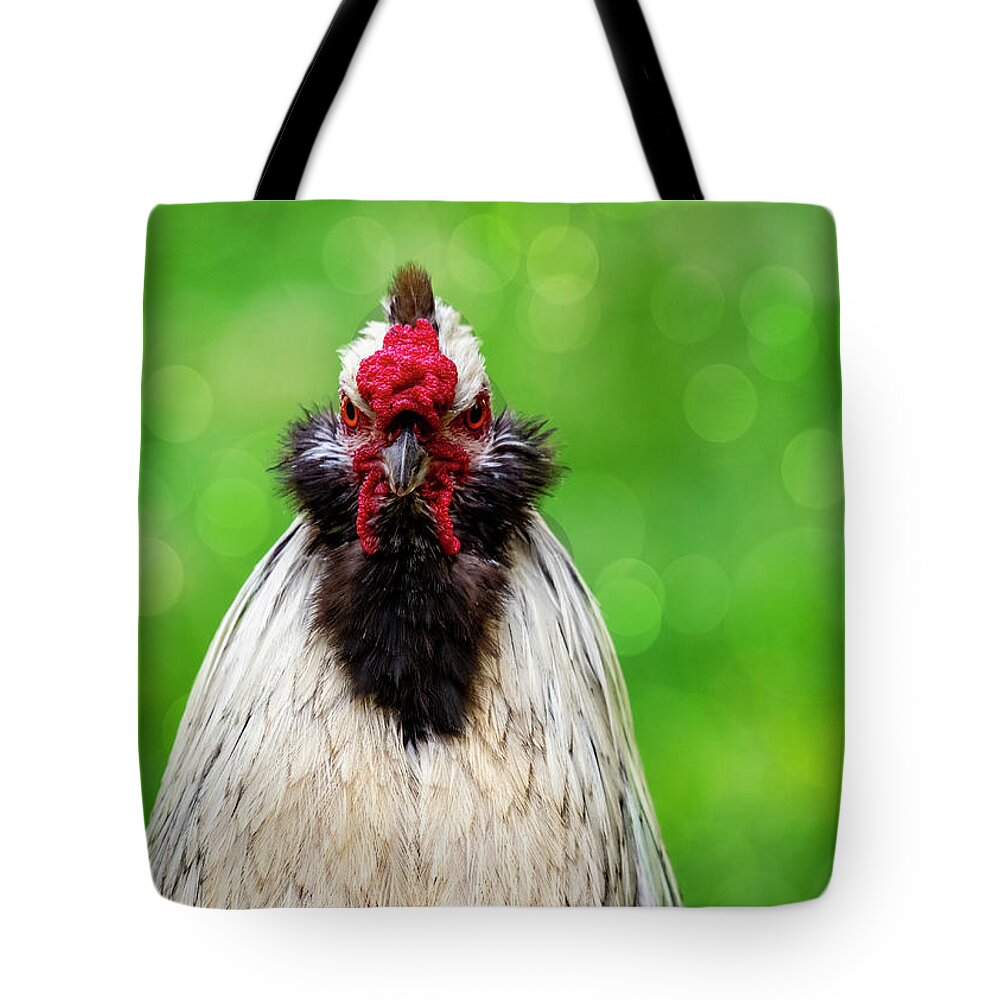 Bird Tote Bag featuring the photograph Angry Rooster by Cathy Kovarik